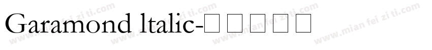 Garamond ltalic字体转换